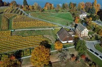 Luftaufnahme Weinbaumuseum Halbinsel Au / Wädenswil